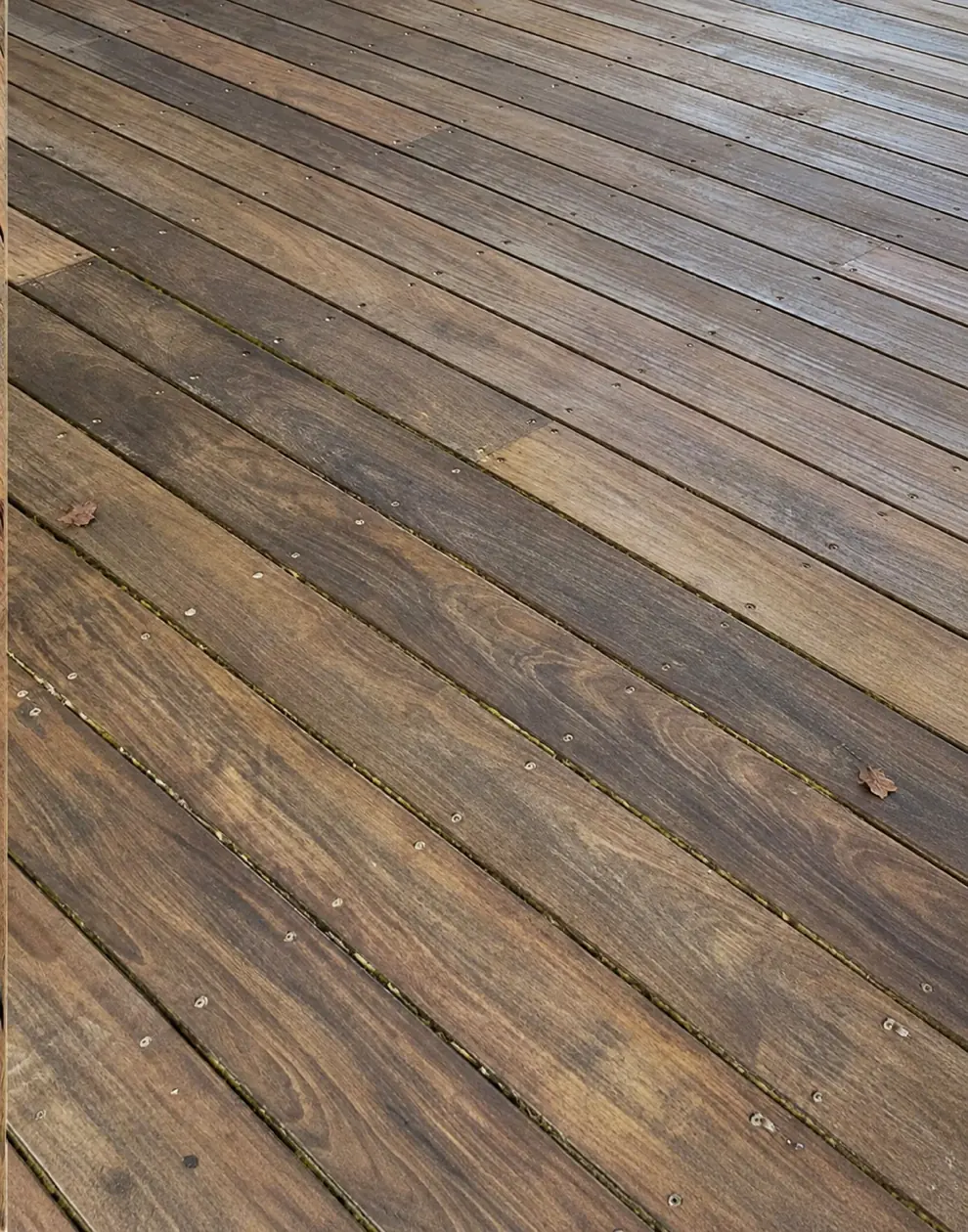 Illustration : Terrasse en bois exotique traitée par BOISPROTEC, avant (image générée, pas une photo de chantier)