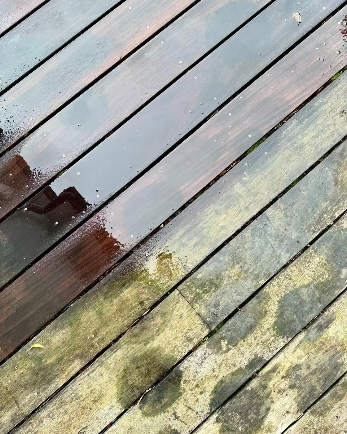 Terrasse envahie de mousses avant rénovation